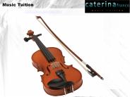 Violin Lessons Sutherland Shire