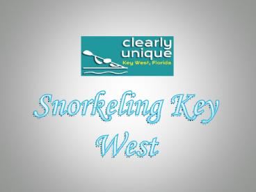 Snorkeling Key West