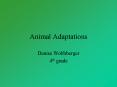 Animal Adaptations PowerPoint PPT Presentation