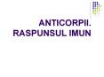 ANTICORPII. RASPUNSUL IMUN PowerPoint PPT Presentation