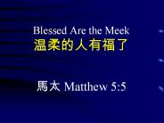 Blessed Are the Meek ???????