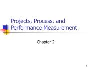 Projects, Process, and Performance Measurement