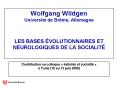Wolfgang Wildgen Universit PowerPoint PPT Presentation
