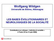 Wolfgang Wildgen Universit