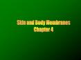 Skin and Body Membranes PowerPoint PPT Presentation