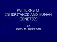 PATTERNS OF INHERITANCE AND HUMAN GENETICS PowerPoint PPT Presentation
