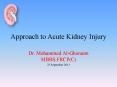 Approach to Acute Kidney Injury PowerPoint PPT Presentation