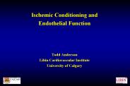 Ischemic Conditioning and