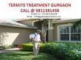 Termite treatment Gurgaon presented by Godrej Pest Control PowerPoint PPT Presentation