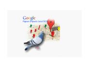 Google Update SERP 2014 @ 09818-871-429