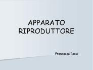 APPARATO RIPRODUTTORE