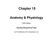 Anatomy