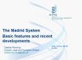 The Madrid System PowerPoint PPT Presentation