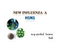 New Influenza A H1N1 PowerPoint PPT Presentation