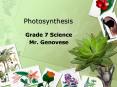 Photosynthesis PowerPoint PPT Presentation