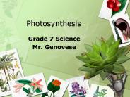 Photosynthesis