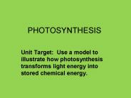 PHOTOSYNTHESIS