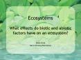 Ecosystems What effects do biotic and abiotic factors have on an ecosystem? PowerPoint PPT Presentation