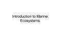 Introduction to Marine Ecosystems PowerPoint PPT Presentation