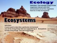 Name the ecosystem you are in right now