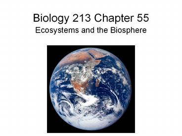 Biology 213 Chapter 55