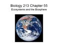 Biology 213 Chapter 55 PowerPoint PPT Presentation