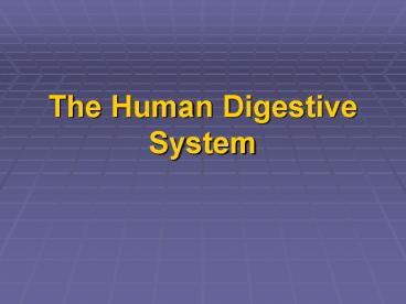 The Human Digestive System