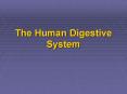 The Human Digestive System PowerPoint PPT Presentation