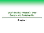 Environmental Problems, Their Causes, and Sustainability