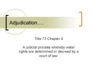 Adjudication