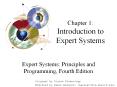 Chapter 1: Introduction to Expert Systems PowerPoint PPT Presentation