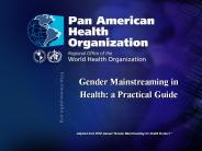 Gender Mainstreaming in