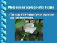 Welcome to Ecology- Mrs. Lester PowerPoint PPT Presentation