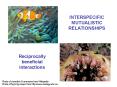 INTERSPECIFIC MUTUALISTIC RELATIONSHIPS PowerPoint PPT Presentation