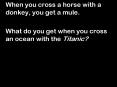 When you cross a horse with a donkey, you get a mule. PowerPoint PPT Presentation