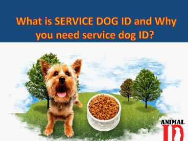 What is SERVICE DOG ID and Why you need service dog ID?