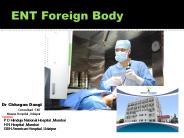 Ear Foreign Body