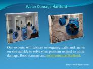 Water Cleanup Hartford
