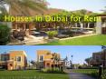 Houses in Dubai for Rent PowerPoint PPT Presentation