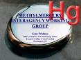 METHYLMERCURY INTERAGENCY WORKING GROUP PowerPoint PPT Presentation