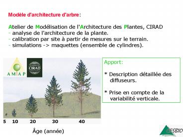 Aucun titre de diapositive