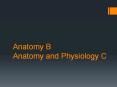 Anatomy B Anatomy and Physiology C PowerPoint PPT Presentation