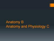 Anatomy B Anatomy and Physiology C