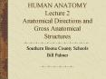 HUMAN ANATOMY Lecture 2 Anatomical Directions and Gross Anatomical Structures PowerPoint PPT Presentation