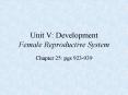 Development: Male Reproductive System PowerPoint PPT Presentation