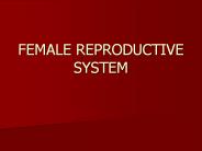 FEMALE REPRODUCTIVE SYSTEM