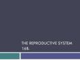 The Reproductive System 16b. PowerPoint PPT Presentation