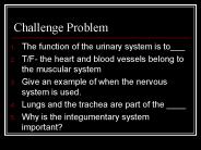 Challenge Problem