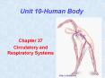 Unit 10-Human Body PowerPoint PPT Presentation