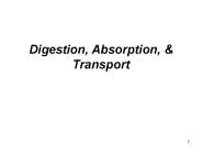 Digestion, Absorption,